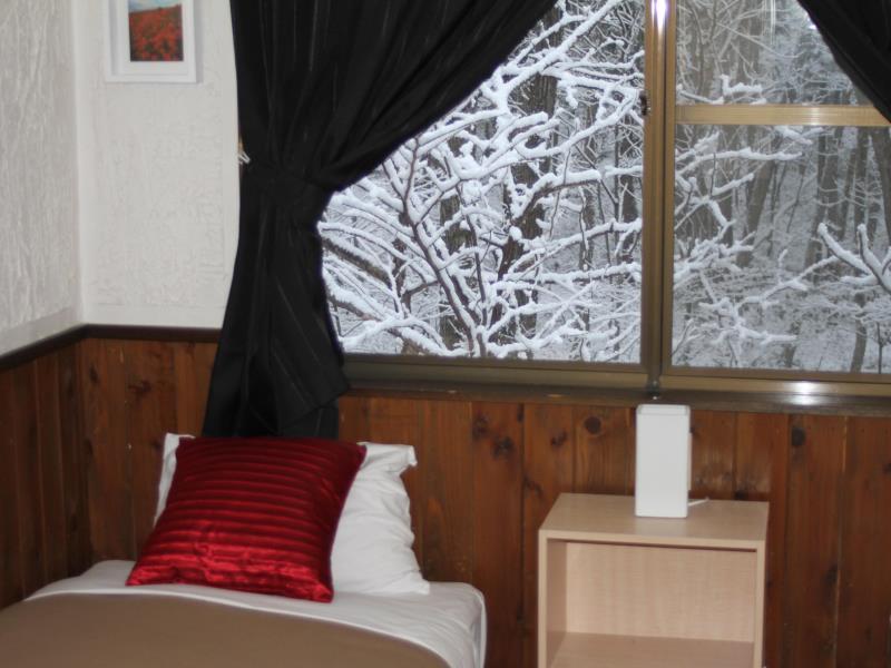 Alpine Lodge Hakuba Ngoại thất bức ảnh